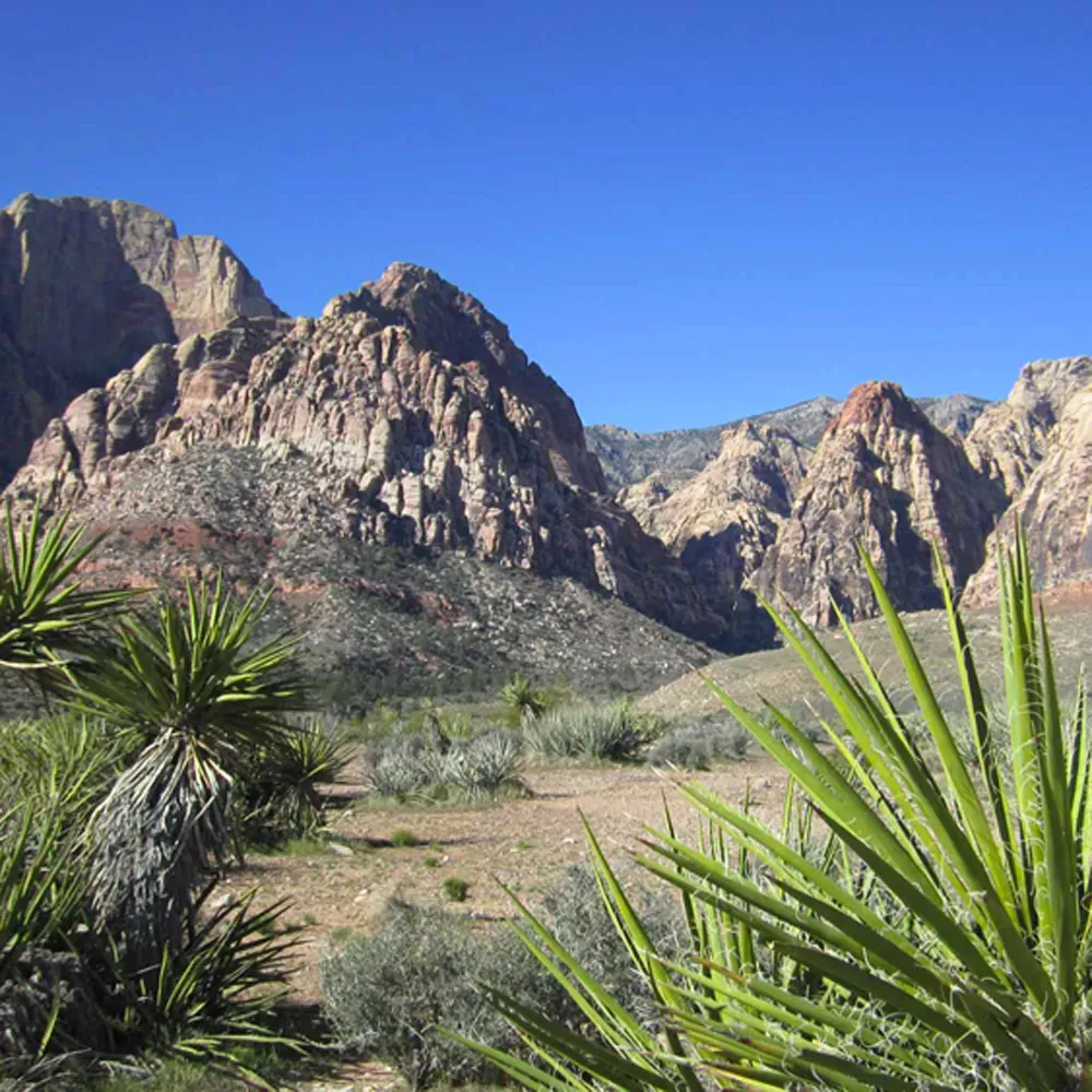 Voyage escalade aux USA — Red Rocks & Zion